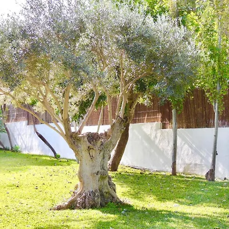 Villa Rocamar, Sa Pedruscada